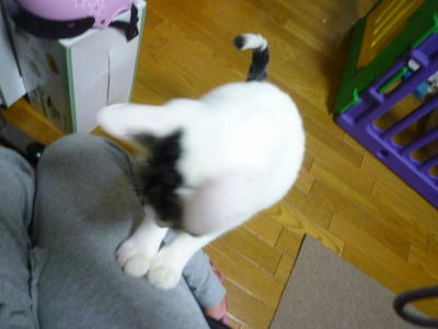控えめなおねだり