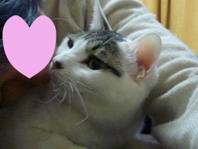 すりすり～