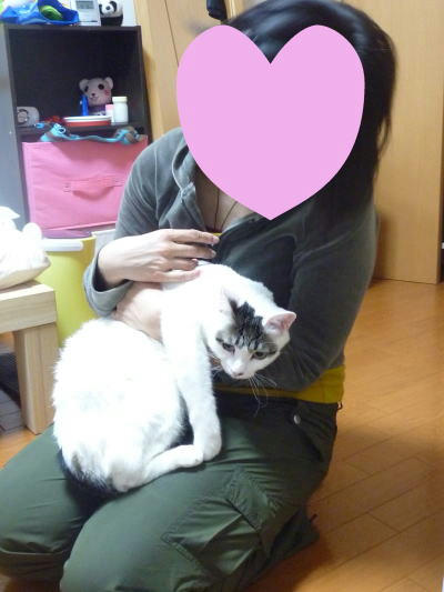 新しいママに抱っこされるごまだれ