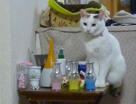 猫の置物？