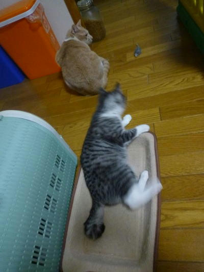 042403.jpg