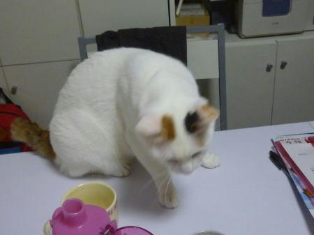 すあま
