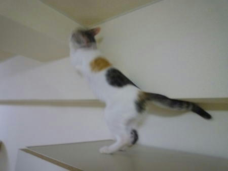072901.jpg
