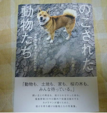 のこされた動物たち―太田康介