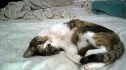 2011090110130000.jpg