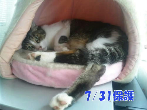 2011090601.jpg