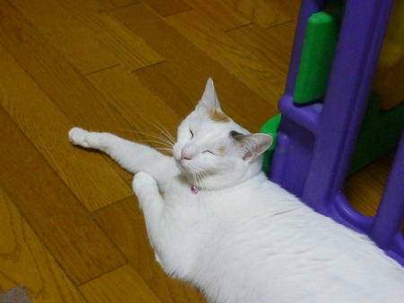 090902.jpg
