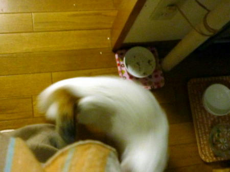 P1160790.JPG