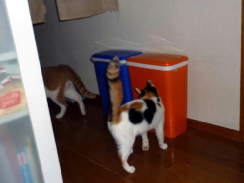101502.jpg