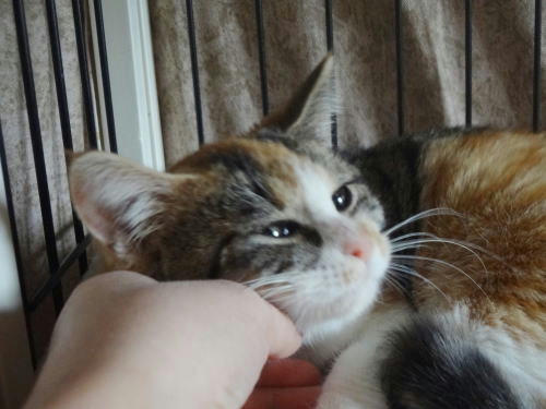 出ちて出ちてーーっ！