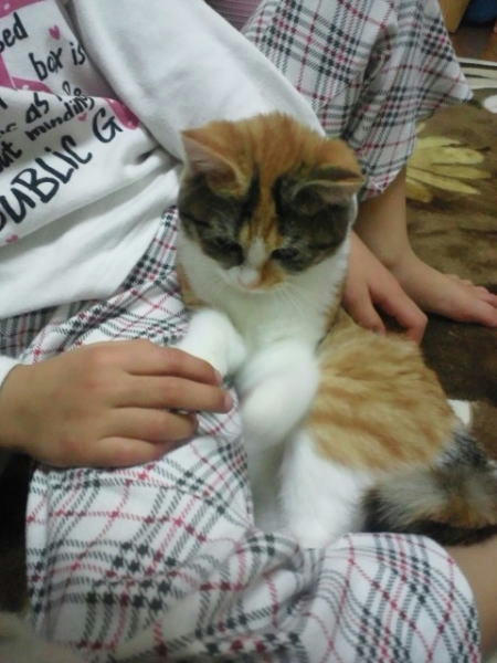 抱っこ好きだけど～