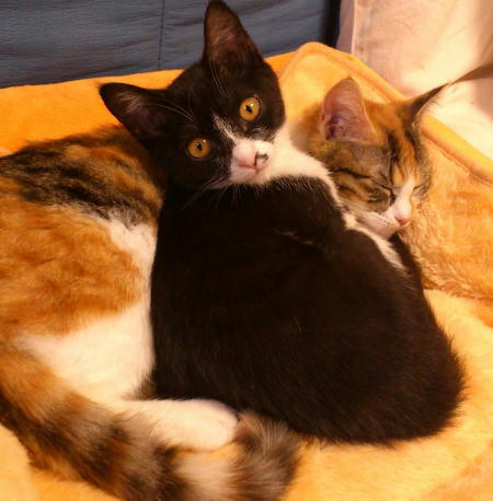 マオタンとスーナちゃん