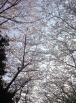 a6dab988.JPG