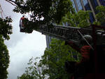 DSC00671.JPG