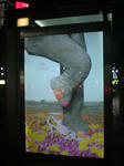 DSC00798.JPG