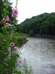 DSC00829.JPG