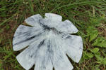 DSC01113.JPG