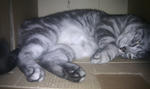 IMAG0211.jpg