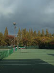 tennis02.jpg
