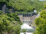 dam07_07.jpg