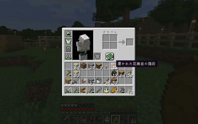 マイクライフ ４１日目 岩盤到達 Minecraft マインクラフト けろのマイナー暮らし