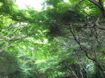 9_20110611172326.jpg