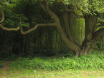 16_20110611173153.jpg