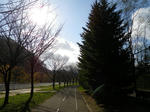 8f41f60e.jpg