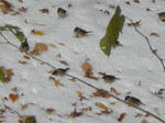 40e41832.jpg