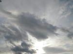 b17e0721.jpg