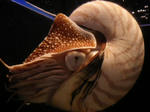 3212cf8b.jpg