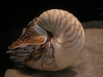 8574e766.jpg