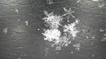 b6fd643b.jpg