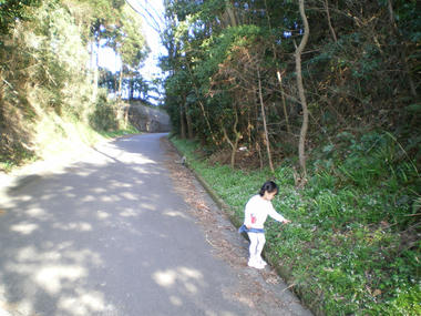 IMGP0981.JPG