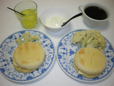 IMGP0205.JPG