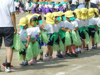 IMGP2291.JPG