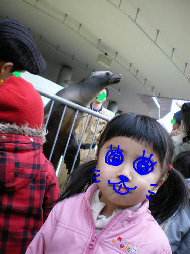 IMGP3779.JPG