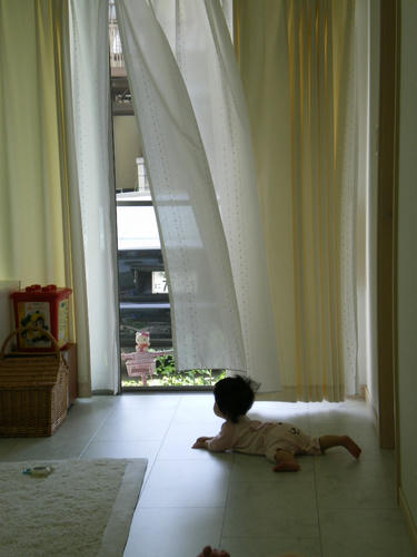 IMGP4637.JPG