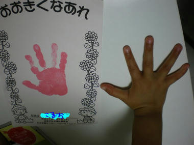 IMGP5676.JPG