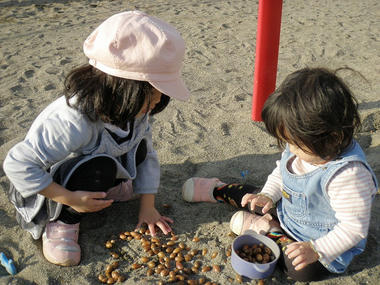 PB150263.jpg