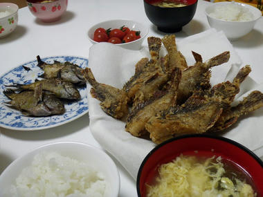 P6050436.jpg