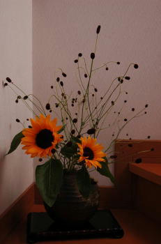 090601.jpg