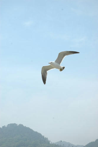 DSC_0026.JPG