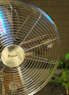 090813.jpg