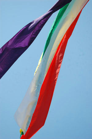 syashin17-04.JPG