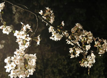 100406-3.jpg