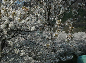 100411-2.jpg