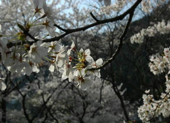 100411-3.jpg