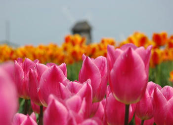 100420-4.jpg