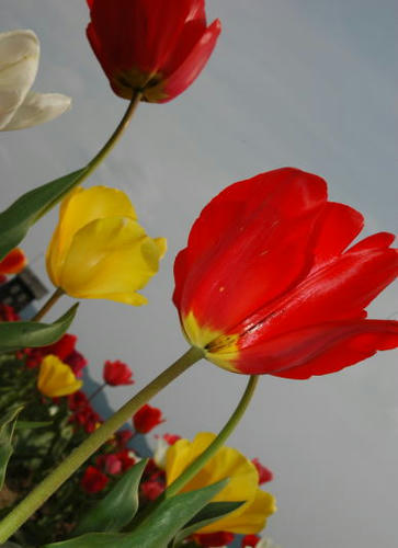 100420-8.jpg